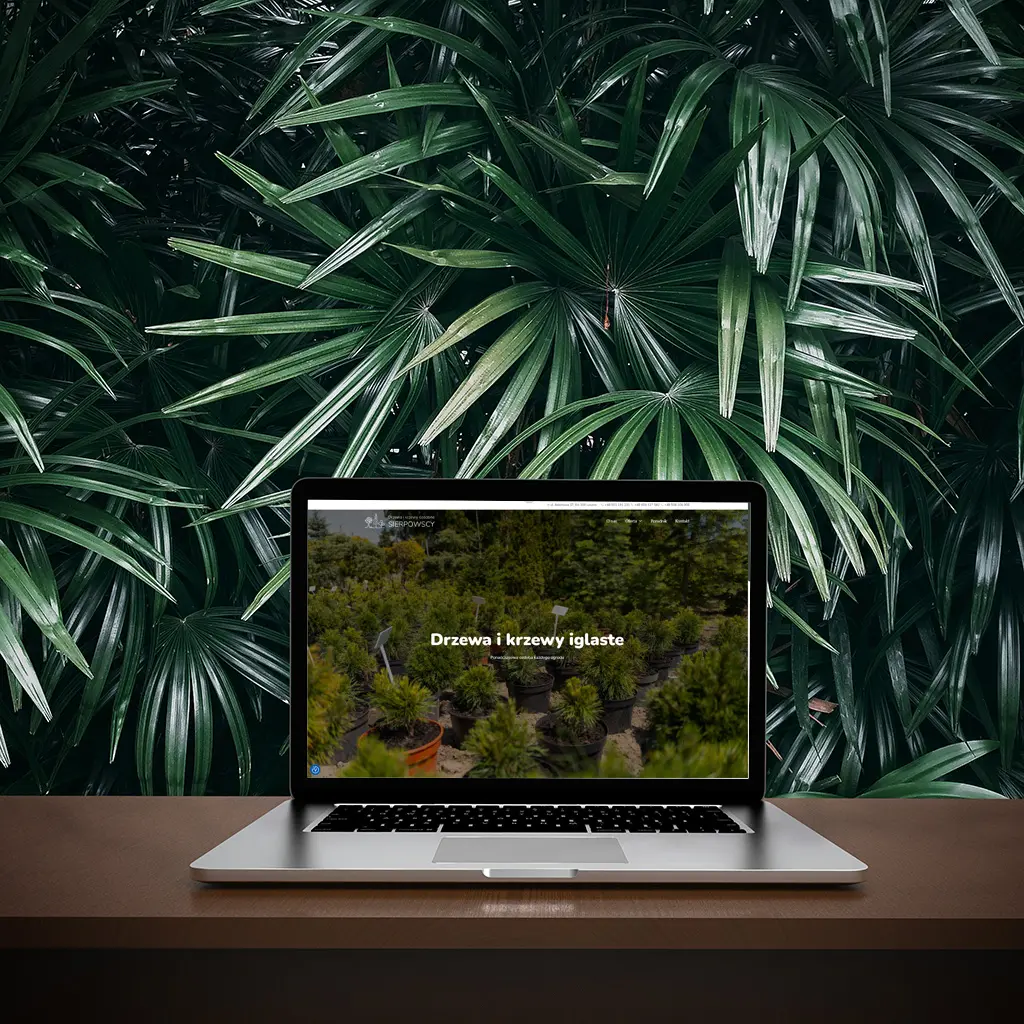 Co obejmuje projektowanie strony internetowej